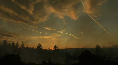 Smokey Smoldering Forest Fire Stock Footage 711347