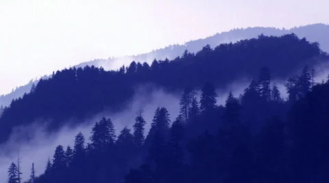 Smokies HD Stock Footage 335434