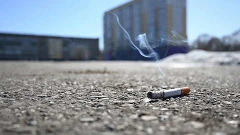 ant carrying cigarette Smoking a Cigarette: A Humorous Scene    | Ant