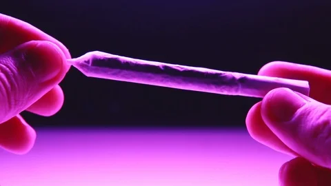  Smoking accessories for marijuana Stock Footage 101444884