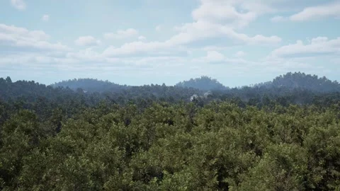 Smoking from the Amazon forest fire. Smoke rises into the sky above the trees. Stock Footage 278085896