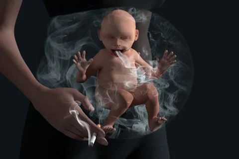 Smoking baby in baby bump. Unborn baby in baby bump smokes passively Stock Photos