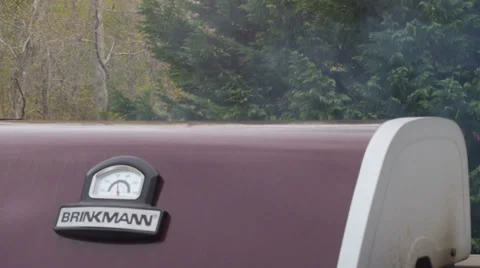 Smoking BBQ Video stock 38004681