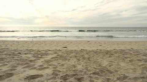 Smoking on the Beach Stock Footage 22782980