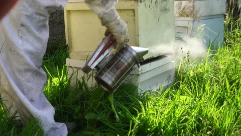 Smoking a Bee Hive Video stock 167292131