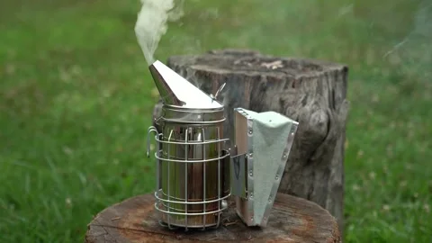 Smoking bee smoker Stock Footage 140999813