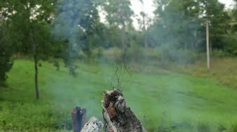 Smoking Bonfire Stock Footage 8837879