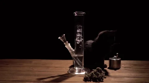 Smoking bong with marijuana on a black background and black cat Slow motion . 스톡 동영상 83047652