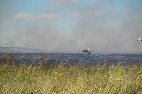 Smoking burning meadow grass Stock Photos