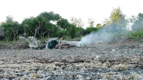 Smoking Campfire on beach Video stock 55198583