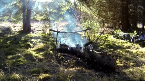 Smoking campfire, sunset scenery Stock Footage 48971192