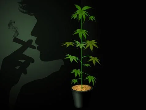 Smoking cannabis Stock Illustration