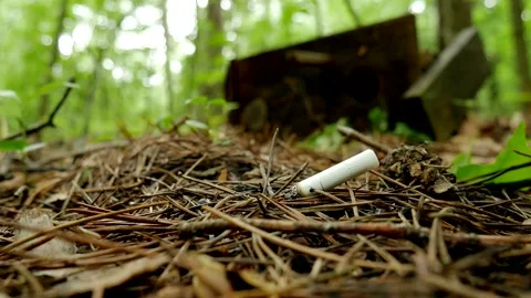 Smoking cigarette butt thrown in forest against the backdrop of destroyed bi Stock Footage 201285075
