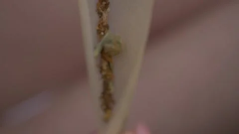 Smoking Comercial 스톡 동영상 137764498