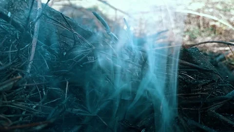 Smoking dry branches. Stock Footage 269392007
