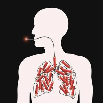 Smoking dynamite lungs Stock Illustration