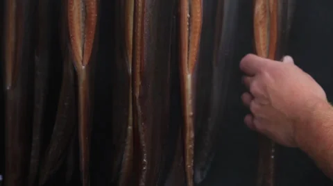 Smoking Eels Stock-Footage 27876268