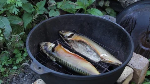 Smoking of fish in the open air Video stock 79248505