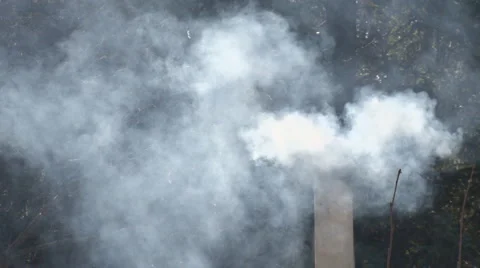 Smoking flue and trees Stock Footage 2662785
