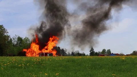 Smoking forest Stock Footage 107110317