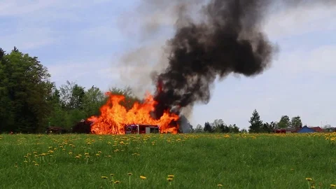 Smoking forest Stock Footage 107110346