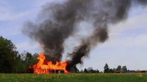 Smoking forest Stock Footage 107110353