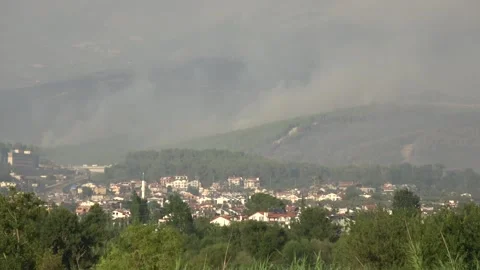 Smoking forest suffering from wildfire panning 動画素材 342257933