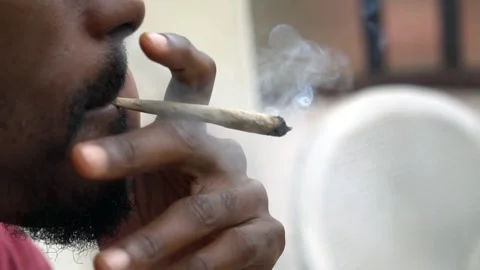 Smoking a joint Stock Footage 255616701