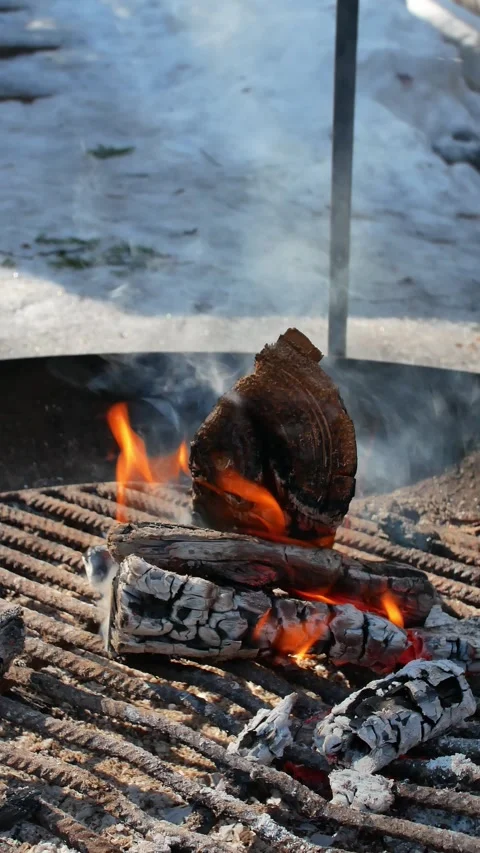 Smoking logs in a camping site campfire, vertical Stock Footage 238089618