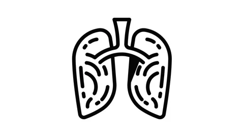 Smoking lungs icon animation | Stock Video | Pond5