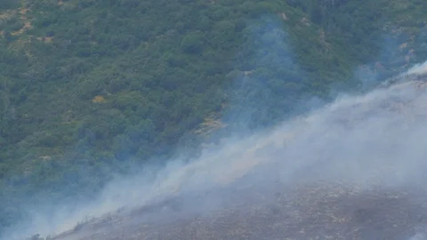 Smoking mountain side from a wildfire.  Stock Footage 93609450