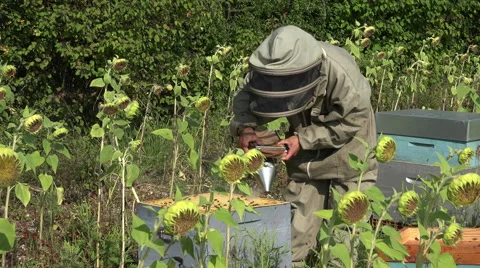 Smoking out top of frames Stock-Footage 53354017