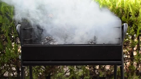 Smoking pine cones on barbecue Stock Footage 140805470