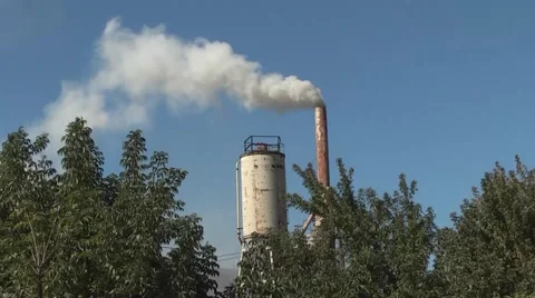 Smoking pipe Video stock 941748