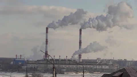 Smoking plant Vidéo 124374034