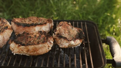 Smoking steaks on grill. T-Bone steak on grill. Summer barbecue picnic. Stock Footage 110914439