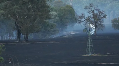 Smoky Bushfire Vídeo Stock 45444021