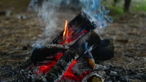 Smoky campfire burning dark forest with glowing embers and flames close up Stock Footage 345121370