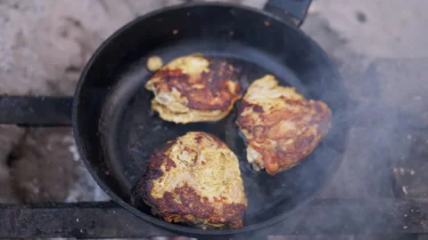 Smoky Chicken on Campfire Stock Footage 293263933