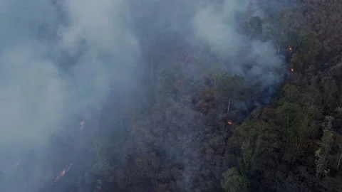 Smoky forest fire , global warming concept 4k Stock Footage 151808024
