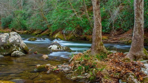 Smoky Mountain River in Fall Foliage Time Lapse, Timelapse, Time-Lapse, 4K Stock Footage 129351297