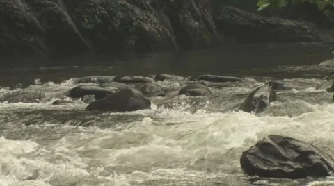 Smoky Mountain River Stock Footage 7770287