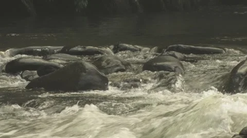 Smoky Mountain River Stock Footage 7770293