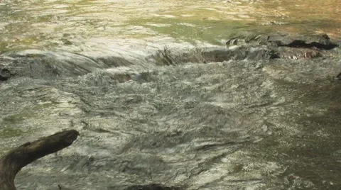 Smoky Mountain River Stock Footage 7931365