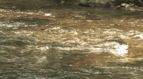 Smoky Mountain River Stock Footage 7934368