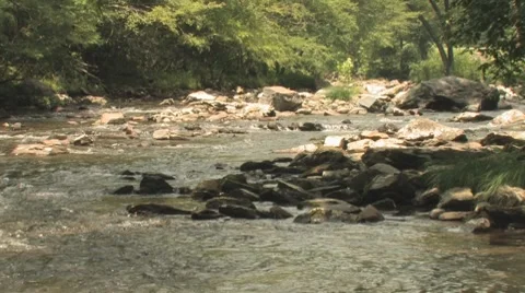 Smoky Mountain River Stock Footage 7937151