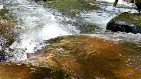 Smoky Mountain River Stock Footage 96352628