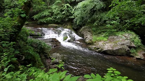 Smoky Mountain Stream 動画素材 50145422