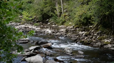 Smoky Mountain Stream Video stock 60635865