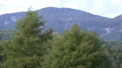 Smoky Mountains Trees Stat 動画素材 33466757